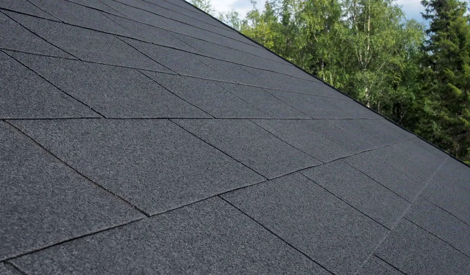 Palahuopa eli kattolaatta Plano XL lähikuvassa katolla